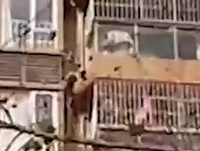 湖北發(fā)生一件事，位置在武漢，事件已傳開(圖1)